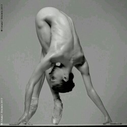 dodgeparry:movementaddiction:Absolutely stunning pose! http://ift.tt/182JA1sBallet dancers have the most beautiful bodies.  Muscular yet lithe…agile and flexible.  It truly is poetry in motion.