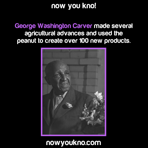 Sex nowyoukno:  Now You Know more Black History pictures