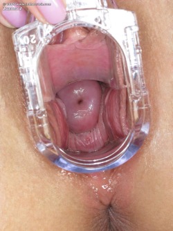 fillherupandknockherup:  The Cervix: the opening to a woman’s womb. The ultimate goal in impregnation is to place the tip of your cock with the slit directly against this fleshy opening. More ideally as you cum, your woman should cumming as well so
