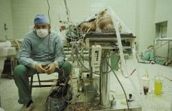 lazylunatic: vodkapussy :  peterfromtexas:  Heart surgeon after 23-hour (successful) lung heart transplantation. His assistant is sleeping in the corner  saw this in the national geographic best 100, this was my favourite  Will never not reblog, it looks
