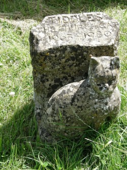 Grave of Tiddles the church cat in Fairford churchyard, 1963-1980