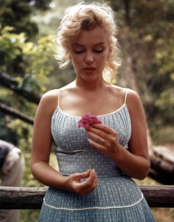 waitandseewhatiwillbe: dolphinfriendly:  we-are-all-secretly-dead:  certainhuuman:  damnnlyssa:  meganfayy:  This is the original picture of Marilyn Monroe. The picture of her topless is a photoshopped fake, whoever made it is a little sneaky fart.  lol