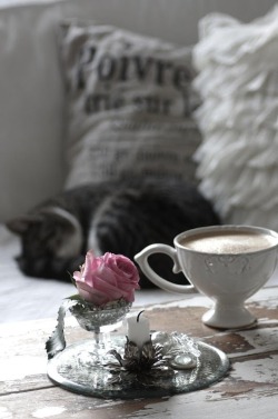 Umla:  (Via A Cat And A Cup Of Tea- All You Need To Add Is … | Beauty In The …)