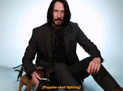 justiceleague:  Keanu Reeves Plays With Puppies While Answering Fan Questions