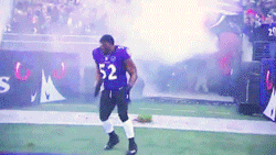 withwordsithoughtidneverspeak:  “13-time Pro Bowler, two-time NFL Defensive Player of the Year, linebacker, #52, Ray Lewis!”  The most epic pre-game ritual ever.