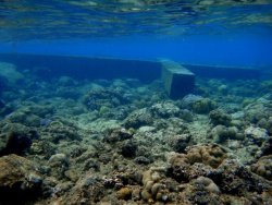 The whole capital of Camiguin, with its cemetery, sunk under the sea following a volcanic eruption. In the following years, the sunken land and the gravestones can still be seen when the tide is low. It has become a sunken cemetery. Now, it is one of