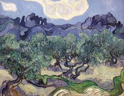  Vincent Van Gogh, The Olive Trees 