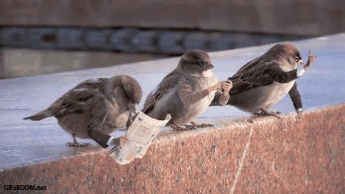tastefullyoffensive:  Video: Birds with Arms (ASUS Commercial) 