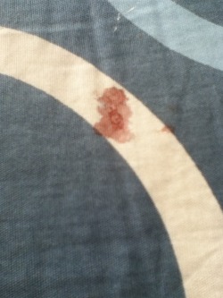 busy-tobeinlove:  professionalcinnabon:  professionalcinnabon:  woke up to a blood stain on my bedsheets wtf    this is literally the best post ever 