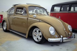 yessir-youarefat:  VW Bug @PetersenMuseum VW Cruise In 