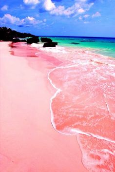 sixpenceee:  Pink Beaches, Bermuda: The pink sand is the result of millions of tiny