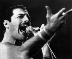 I&rsquo;ve said it so many times and I&rsquo;ll say it again. If ever come back to life as a gay man, I wanna be Freddie Mercury.