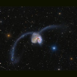 Exploring the Antennae #nasa #apod #esa #hubble #corvus #galaxies #ngc4038 #ngc4039 #collision  #universe #space #science #astronomy