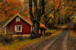 reagentx:  Autumn at the cottage 2.3… by Cobra65 | http://500px.com/photo/45528878 
