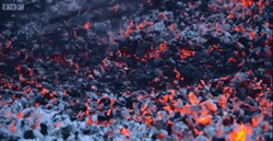 nel-ephant:  sixpenceee:  FIRE WALKING Here you see gifs of people walking across hot coals that are over 1000 degrees F (535 degrees C).  Some say it’s a mind over matter phenomena. UCLA physics say it’s because when someone walks over hot coals,
