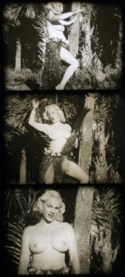Dolores DuVaughn is featured in frames from an 8mm Burlesque short, entitled:  “HULA GIRL”..More pics of Dolores can be found here..