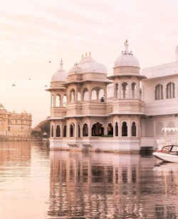 venusverticordias: Majestic Mornings ~ Taj Lake Palace, Udaipur, India by chelsaeanne