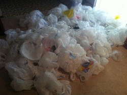 Have so many plastic bags to recycle they almost take up the whole living room! RECYCLE!