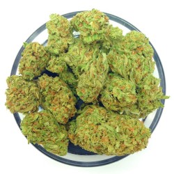 weedporndaily:  We Will Have Five Strains Of 贝 Ounces For Black Friday! (Pictured: 92’ OG Kush) by alpinealternative http://ift.tt/1FvBKb2 