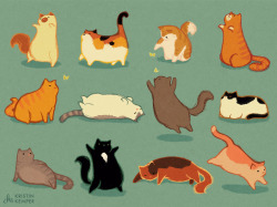 kristinkemper:  my favorite animal is fat cats [prints!] 