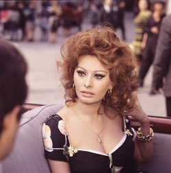 Matrimonio all'italiana, Vittorio de Sica, 1964 Sophia Loren