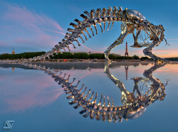 2headedsnake:  Philippe Pasqua recently completed an installation of a Tyrannosaurus Rex skeleton that now stands watch over the Seine river in Paris. the structure is made from 350 chrome molded bones and measures a full 21’ x 12’. Philippe Pasqua