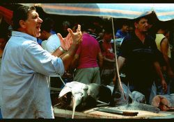 Sulitati:  Fish Market In Catania, Sicily (By Pithana) 