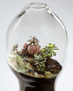 unicorn-meat-is-too-mainstream:  New York-based landscape designer and artist Paula Hayes works with plant life and minerals to produce stunning terrariums as sculptures for gallery environments. Hayes’s work crafts industrial materials—such as hand-blown