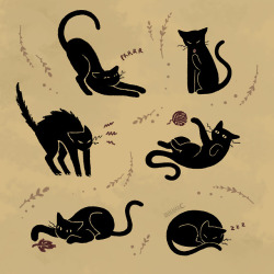 annama-art:black kitties!