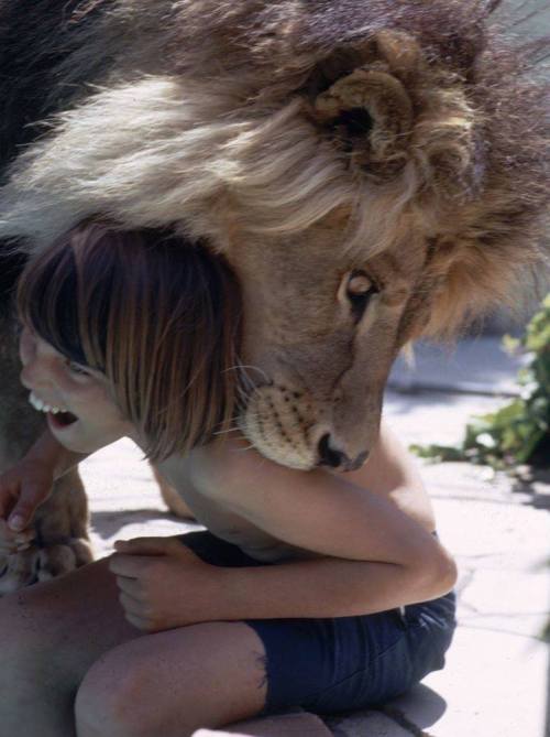 salahmah:  Images from the 1970s home actress Tippi Hedren and daughter Melanie Griffith shared with a lion named Neil.   Love… The nature of things.