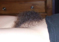 hairy-women-lover.tumblr.com post 52872664924