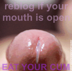 owncumaddict:3000 followers, 3000 little cum addicts!  I’m so proud of all of you!