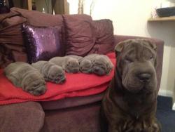 narcotic:“I, a big wrinkle, made all of these smaller wrinkles”