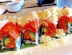 sushi-aesthetic:  🍣