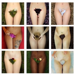 belaquadros:  Jardin Fleuri is a series representing the different ages of a woman. 1. Terre vierge/Virgin soil (virginity)2. Mûre/Blackberries (puberty)3. Les oeufs brisés/Broken eggs (loss of virginity)4. Orchidées/Orchids (sexuality)5. Nid vide/Empty