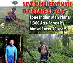 super-goo:  foxyflowerchild:  Indian Man Single-Handedly Plants Entire 1,360 Acre Forest!Read his AMAZING story:A little over 30 years ago, a teenager named Jadav “Molai” Payeng began burying seeds along a barren sandbar near his birthplace in northern