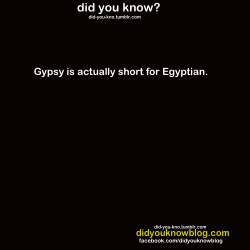 fuckyourracism:  did-you-kno:  Source  No.  The term “gypsy” is actually a non-preferred and derogatory term (slur) for Roma people. The slur assumes that the Romani came from Egypt, which is not true. For those of you who aren’t aware of anti-Roma