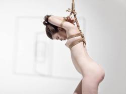ballerinabondagefairies:  Model: Misungui ( Preview pictures - Full set to come later ) Rigger: GorgonePhotographer : Lau Hi  -Paris 2014- via gorgone-kinbaku