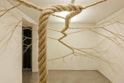 itscolossal:  Untwisted Ropes Tacked to Gallery Walls Appear to Sprout like Trees