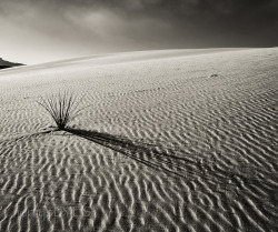 White Sands National Monumentnear Alamagordo