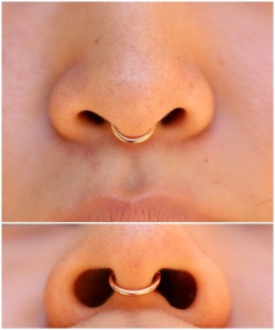 tobiasxvallone:  Continuing with the simple trend of plain gold septum rings:  This is another rose gold clicker in a healed septum piercing I had the pleasure of doing a while ago.Piercing by Tobias