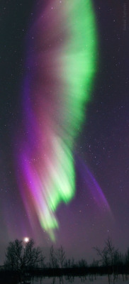 kenobi-wan-obi:   Curtians of Heaven  Colorful lights of Aurora Borealis appears over Lapland, northern Sweden. Aurora is produced by the collision of high-energy charged particles, originated from the sun, with atoms and molecules of Earth's atmosphere
