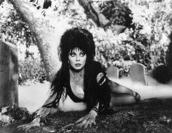 blueruins:  Elvira