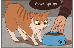 16ruedelaverrerie:  But what if the stray cat Gavin feeds in the alleyway behind his house were as relentlessly and as pointlessLY TALKATIVE AS MY FUCKING CATYou thought you were reading a comic about Gavin Reed but really it’s a comic about my cat.