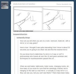 shady-brain-farm:  This is a post that currently has over 200k notes and this is my reblog of it as you can see I was fooled by it as well, before I decided to google it because it didn’t seem to make much sense. Basically it said the rule was “no