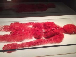 jtotheizzoe:  radicalbundy:Blood vessels of a real person who dedicated their body to science for displayImportant to remember that many of these touring plasticized anatomy shows, which are promoted by various companies under names like BODIES…The