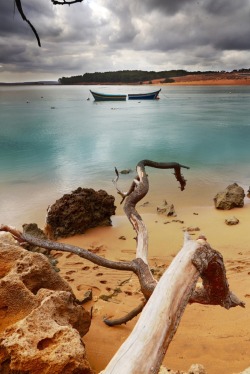 luxuriousimpressions:  Dead Tree on the beach | Moulay Bay, Morroco | Photographer Sadik Boujaida 