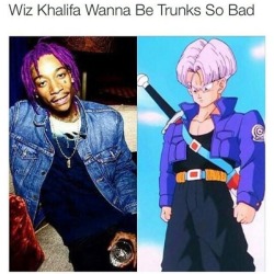 blahhaus:beast-coast-cannabidroid:  i dont know if anyone told you guys, but its actually a terms of service violation, and against the law on tumblr to say a black person is emulating a white person.  Trunks isnt white hes a saiyan dumbass