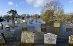 sixpenceee:  A graveyard underwater in the village of Moorland in south west England. This was due to rising flood waters.  