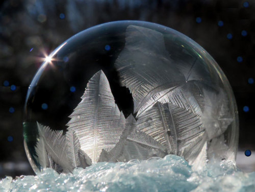 asylum-art:  When You Blow Soap Bubbles in Freezing Cold Weather If you blow soap bubbles in freezing cold weather, amazing crystals of ice form on their surface  starting at the bottom and expanding upwards until the entire bubble is covered. Each bubble